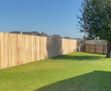 Timber fence for big backyard in Albury